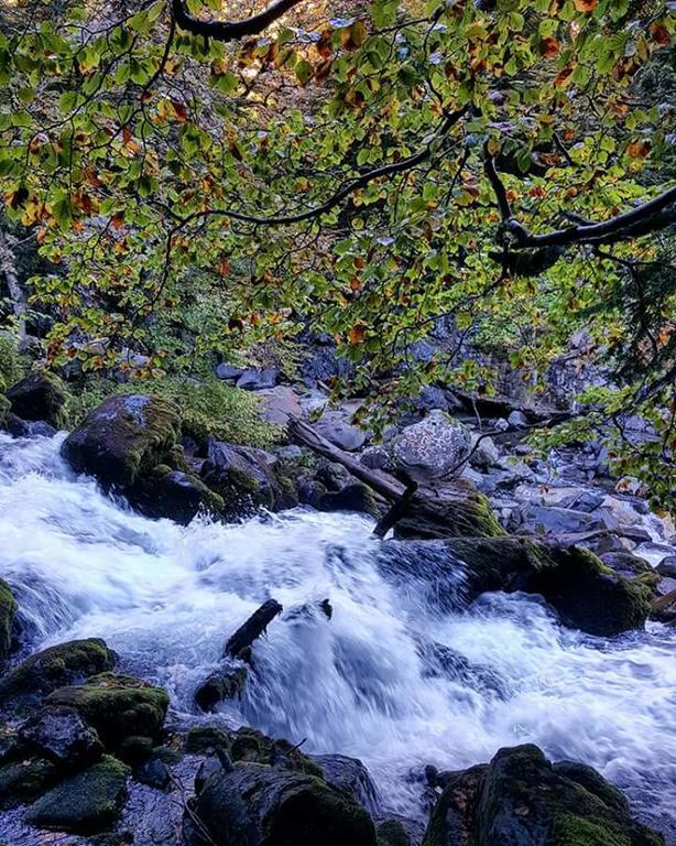 Casa Es Neres Otel Les Dış mekan fotoğraf